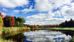 temp fix empty alt images for attachment