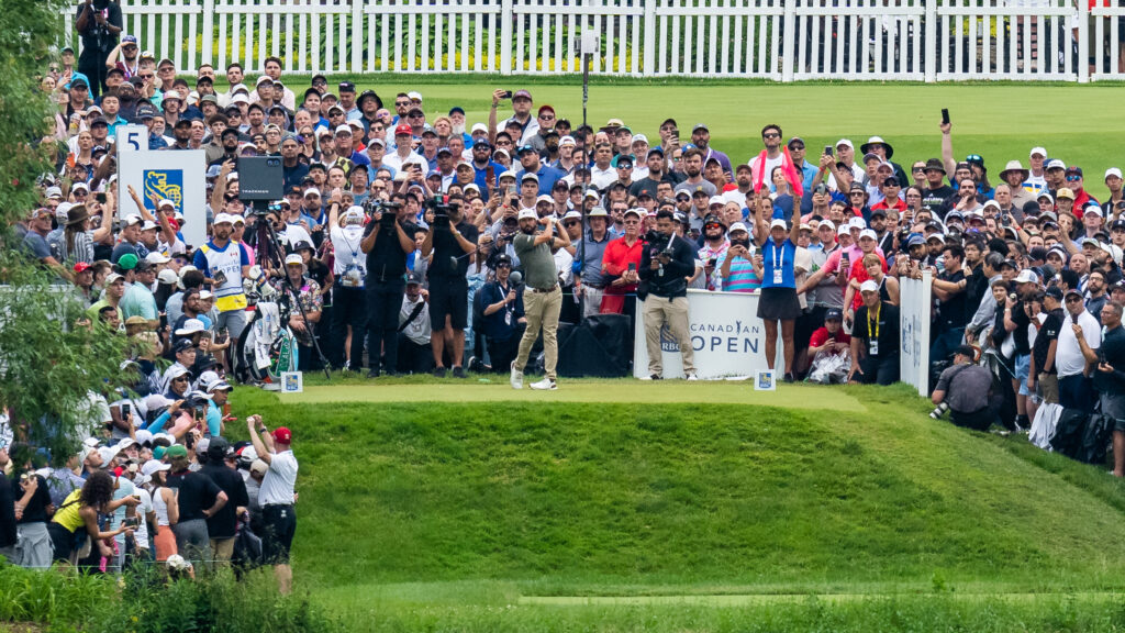 temp alt for theme membership