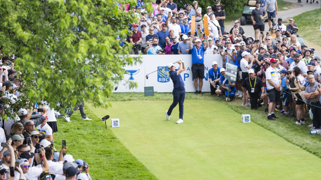 temp alt for theme membership