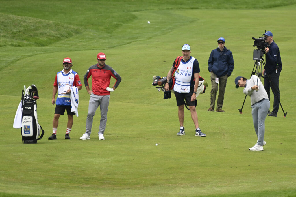 temp alt for theme membership