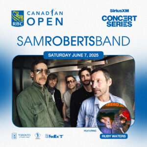 temp alt for theme iandt