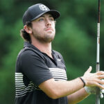 temp alt for theme list items