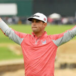 temp alt for theme list items