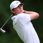 temp alt for theme list items