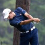 temp alt for theme list items