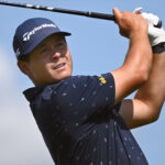 temp alt for theme list items