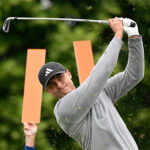 temp alt for theme list items