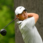 temp alt for theme list items