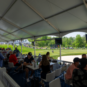 temp alt for theme iandt