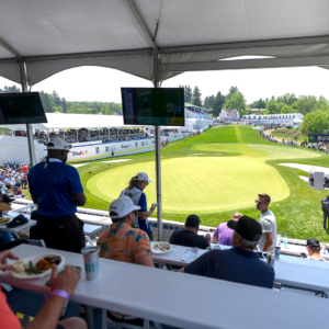 temp alt for theme iandt