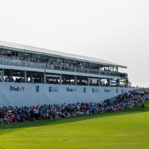 temp alt for theme iandt