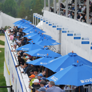 temp alt for theme iandt