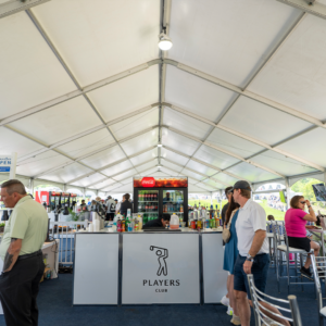 temp alt for theme iandt