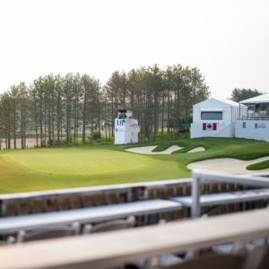 temp alt for theme iandt