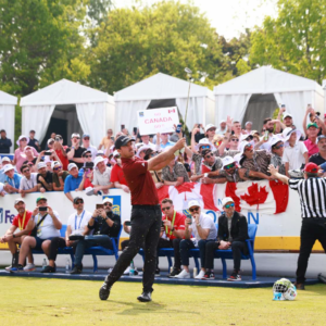 temp alt for theme iandt