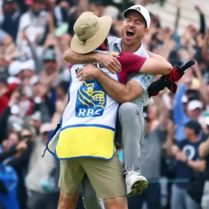 temp alt for theme iandt