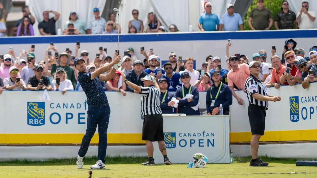 temp alt for theme membership