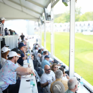 temp alt for theme iandt