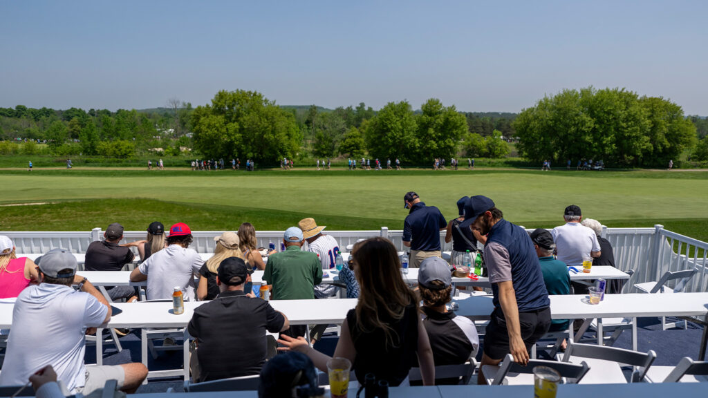 temp alt for theme membership