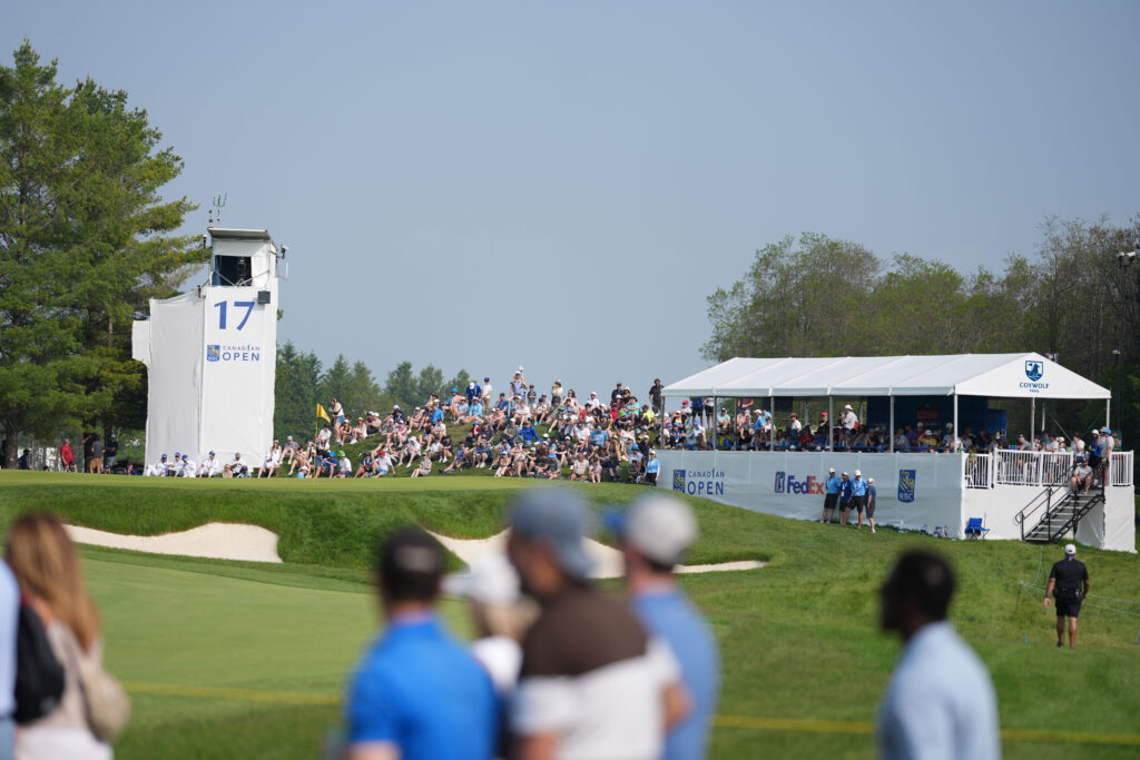 temp alt for theme membership