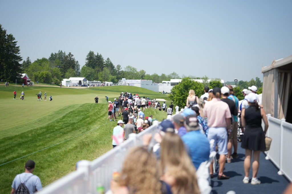 temp alt for theme membership