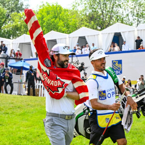 temp alt for theme iandt