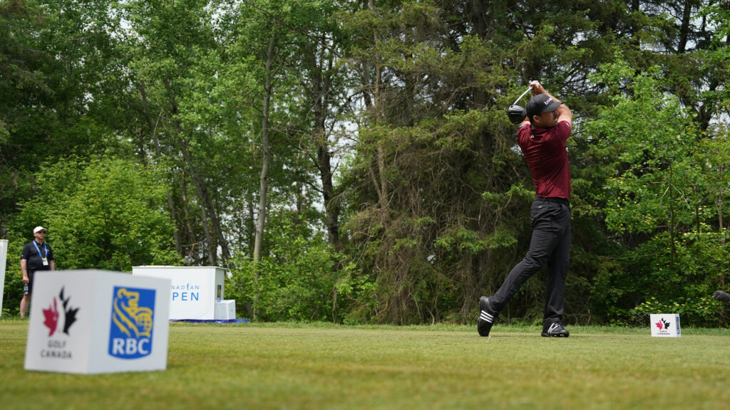 temp alt for theme membership