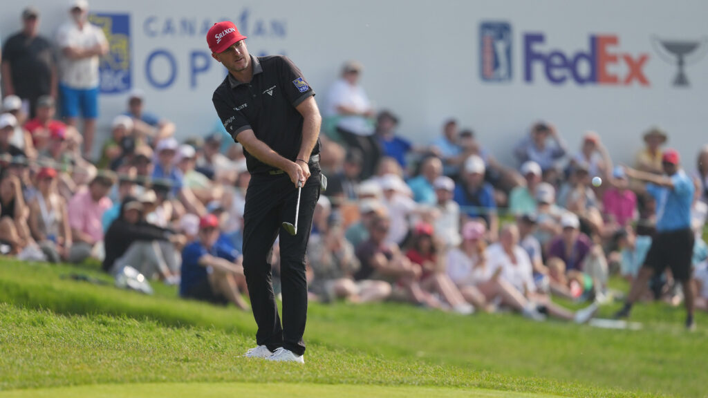 temp alt for theme membership