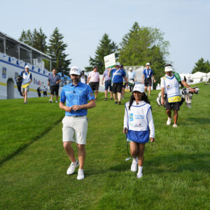 temp alt for theme iandt